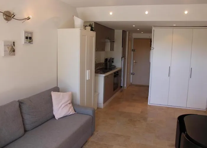 Apartment Avec Terrasse Port De *